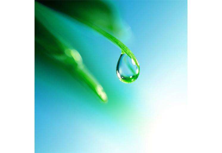 Samolepilne stenske Fototapeta Shine water drop SW217-Life-decor.si