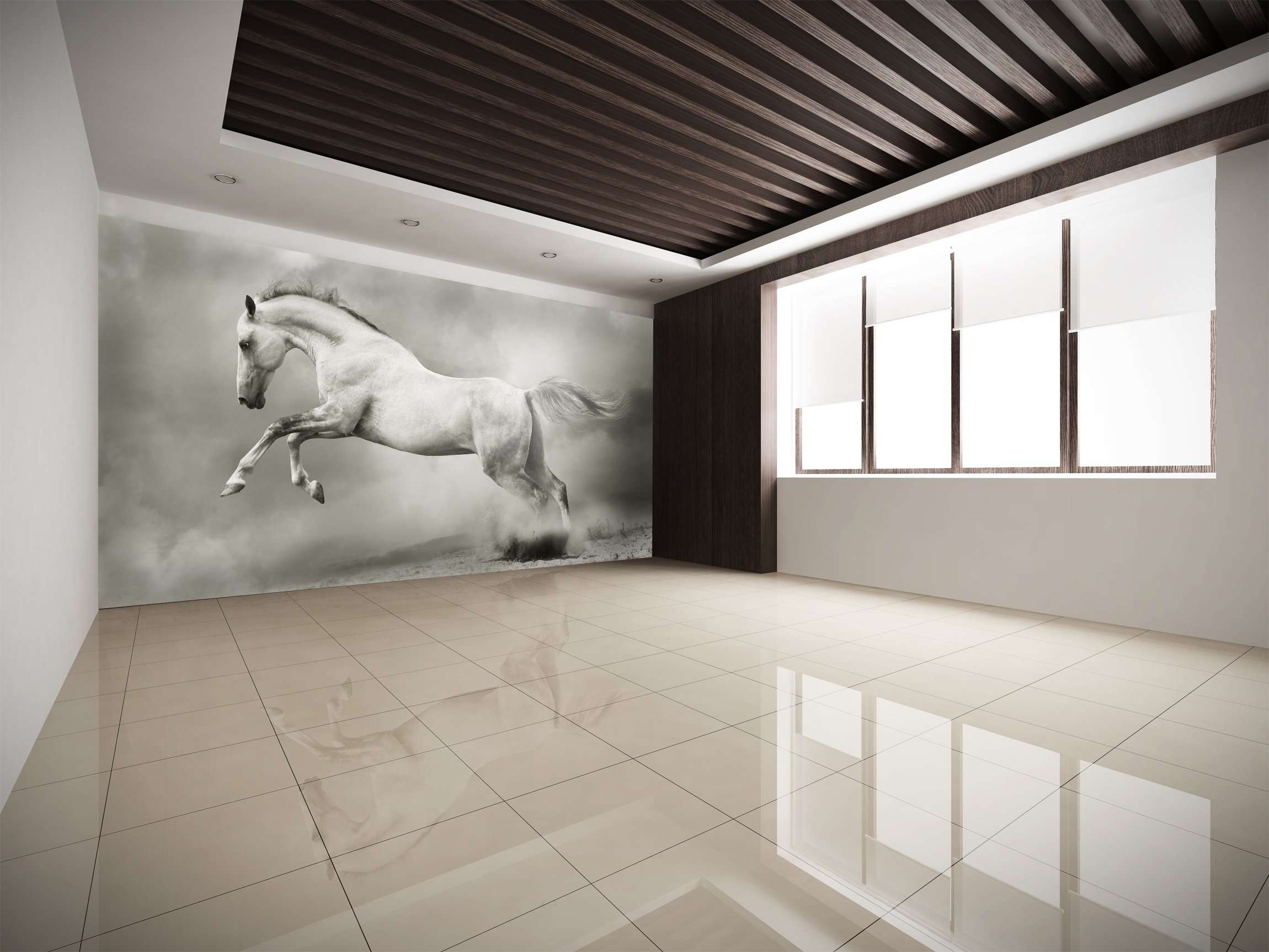 Samolepilne stenske Fototapeta Silver-white stallion SW052-Life-decor.si