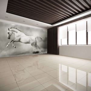 Samolepilne stenske Fototapeta Silver-white stallion SW052-Life-decor.si