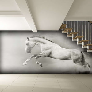 Samolepilne stenske Fototapeta Silver-white stallion SW052-Life-decor.si