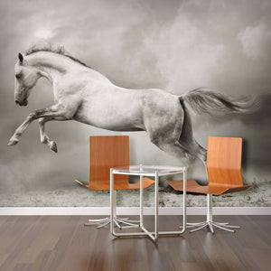 Samolepilne stenske Fototapeta Silver-white stallion SW052-Life-decor.si