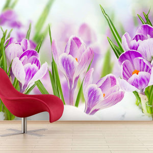 Samolepilne stenske Fototapeta Spring crocuses SW075-Life-decor.si