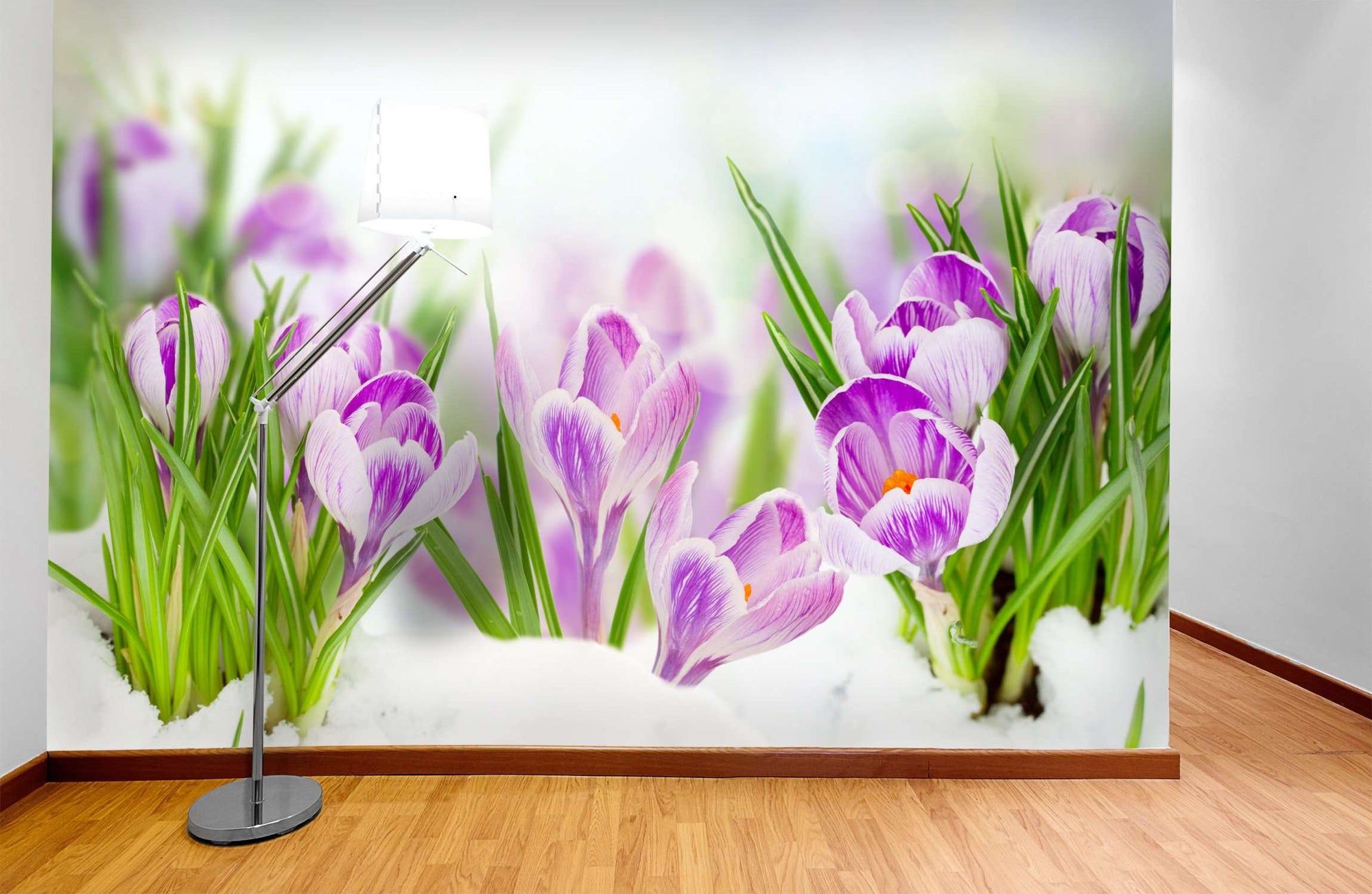 Samolepilne stenske Fototapeta Spring crocuses SW075-Life-decor.si