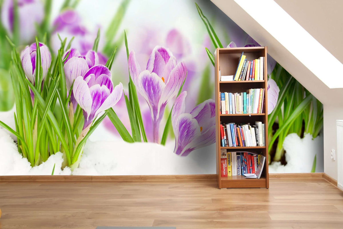 Samolepilne stenske Fototapeta Spring crocuses SW075-Life-decor.si