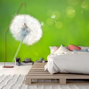 Samolepilne stenske Fototapeta Spring dandelion SW072-Life-decor.si