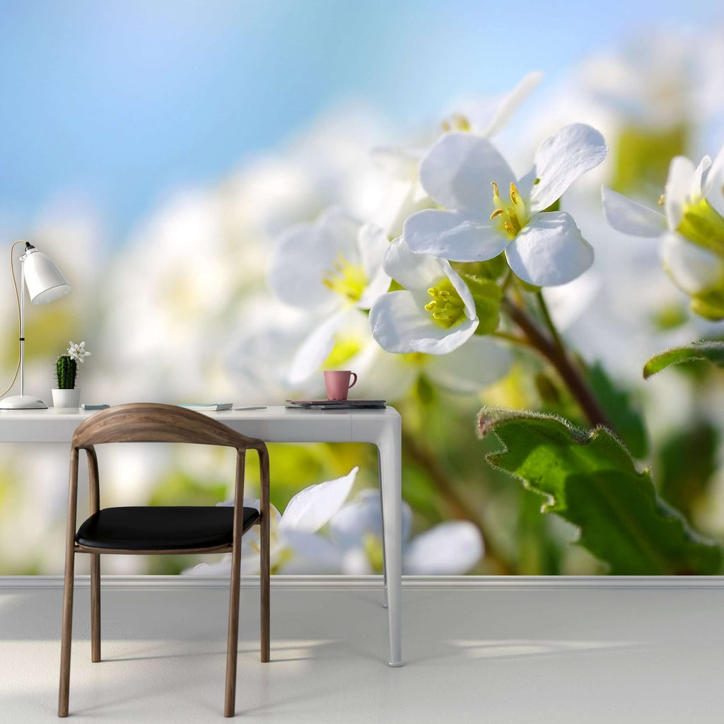 Samolepilne stenske Fototapeta Spring flowers SW156-Life-decor.si