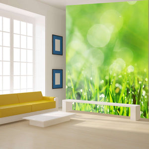 Samolepilne stenske Fototapeta Spring grass SW215-Life-decor.si