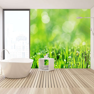 Samolepilne stenske Fototapeta Spring grass SW215-Life-decor.si