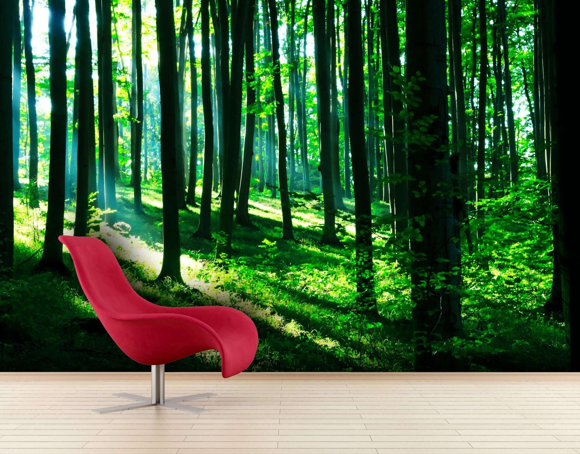 Samolepilne stenske Fototapeta Sunshine in the green forest SW127-Life-decor.si