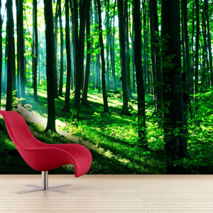 Samolepilne stenske Fototapeta Sunshine in the green forest SW127-Life-decor.si