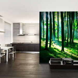 Samolepilne stenske Fototapeta Sunshine in the green forest SW127-Life-decor.si