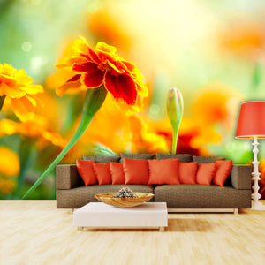 Samolepilne stenske Fototapeta Tagetes Marigold Flower SW098-Life-decor.si