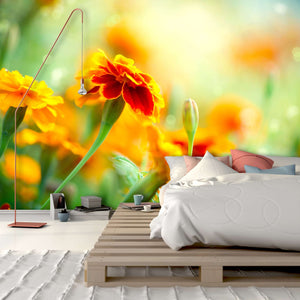 Samolepilne stenske Fototapeta Tagetes Marigold Flower SW098-Life-decor.si