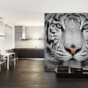 Samolepilne stenske Fototapeta Tiger SW056-Life-decor.si