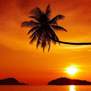 Samolepilne stenske Fototapeta Tropical beach at sunset SW209-Life-decor.si