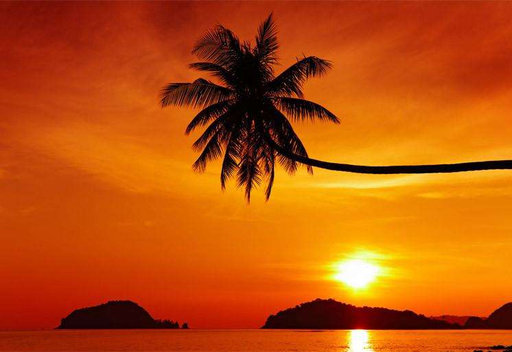 Samolepilne stenske Fototapeta Tropical beach at sunset SW209-Life-decor.si