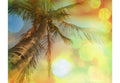 Samolepilne stenske Fototapeta Tropical beach SW286-Life-decor.si