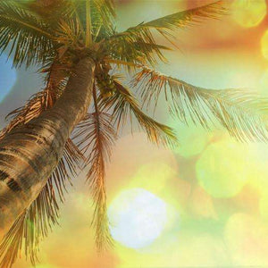 Samolepilne stenske Fototapeta Tropical beach SW286-Life-decor.si