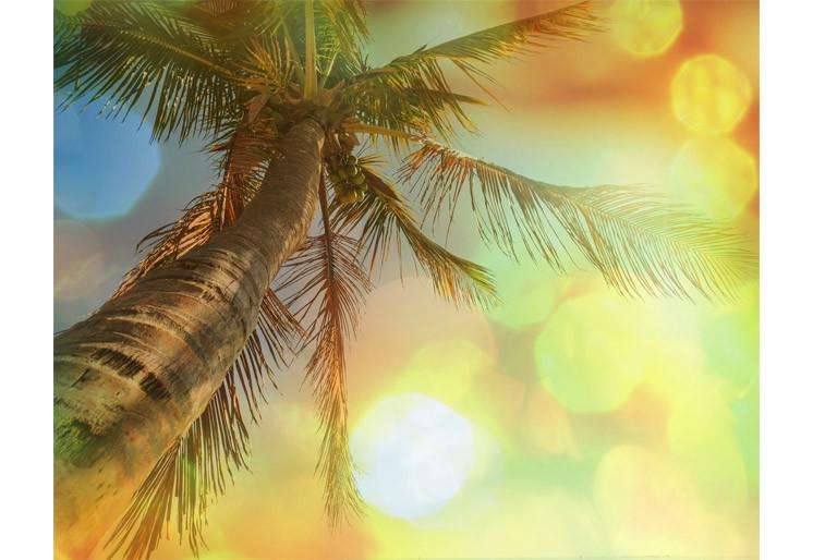 Samolepilne stenske Fototapeta Tropical beach SW286-Life-decor.si