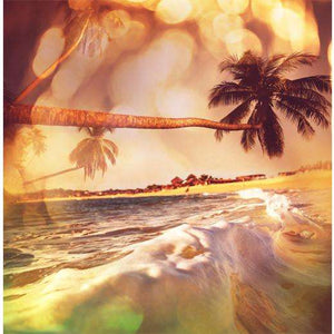 Samolepilne stenske Fototapeta Tropical beach SW288-Life-decor.si