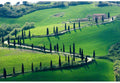 Samolepilne stenske Fototapeta Tuscany SW374-Life-decor.si