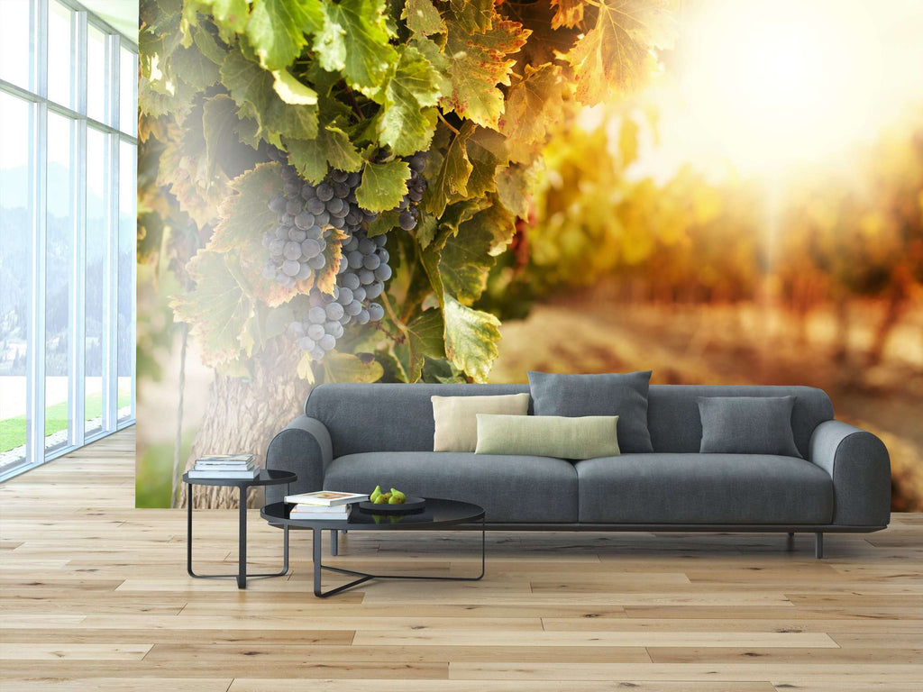 Samolepilne stenske Fototapeta Vineyards at sunset SW178-Life-decor.si