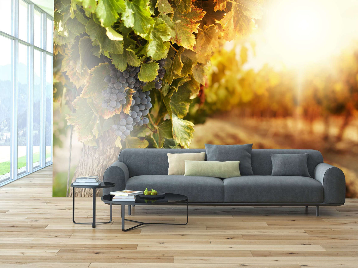 Samolepilne stenske Fototapeta Vineyards at sunset SW178-Life-decor.si