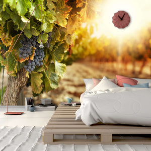 Samolepilne stenske Fototapeta Vineyards at sunset SW178-Life-decor.si