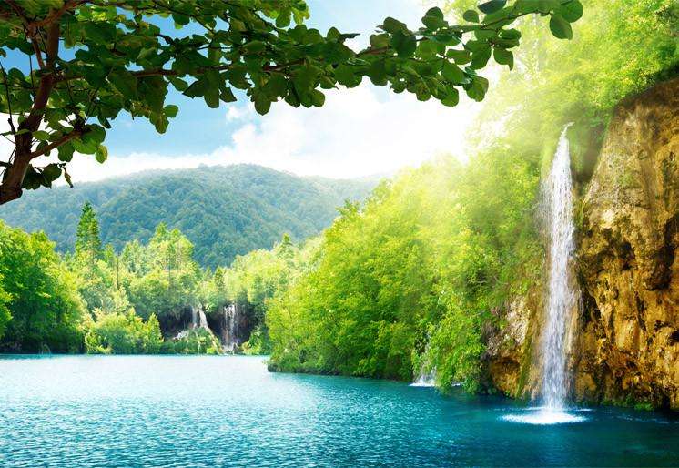 Samolepilne stenske Fototapeta Waterfall in deep forest SW193-Life-decor.si