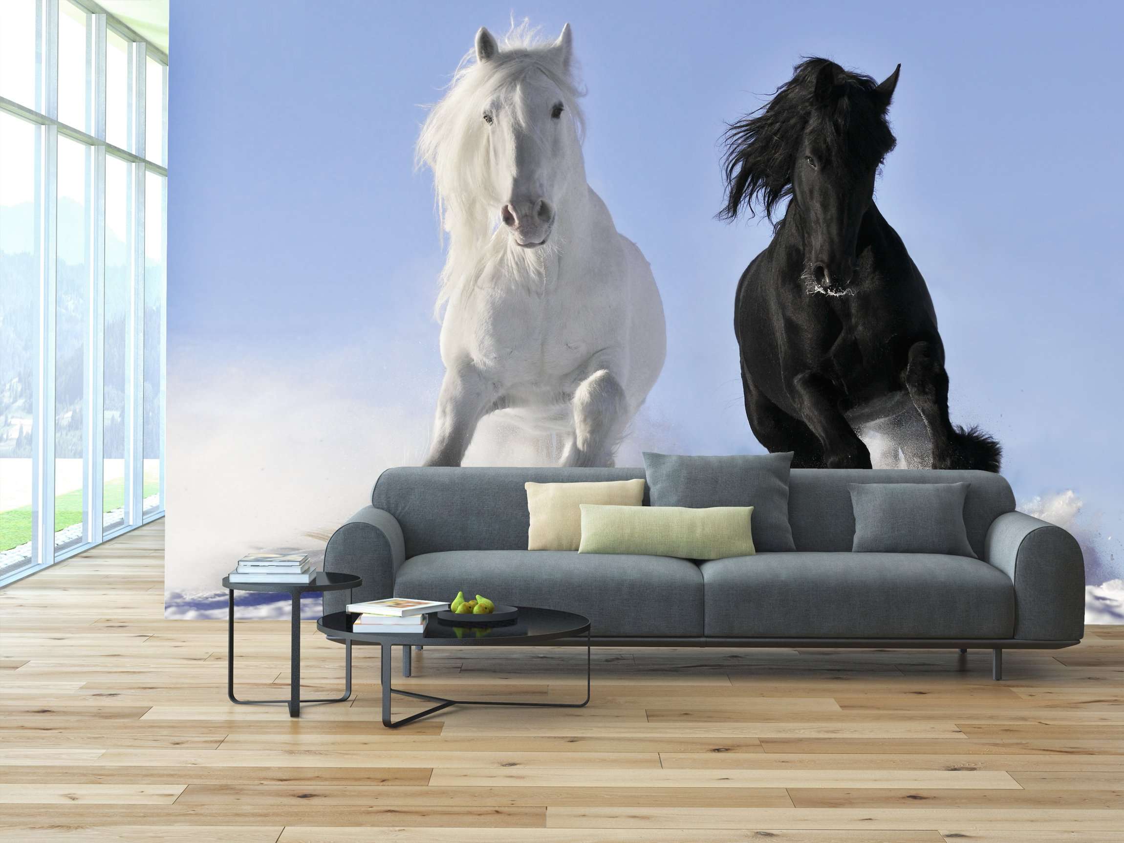 Samolepilne stenske Fototapeta White and black horse SW043-Life-decor.si