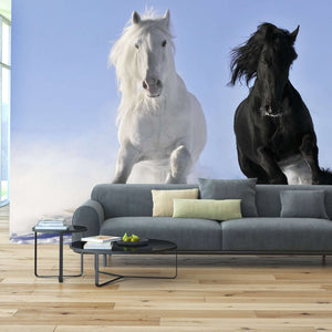 Samolepilne stenske Fototapeta White and black horse SW043-Life-decor.si