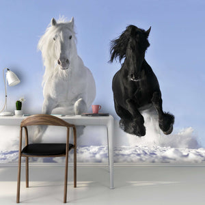 Samolepilne stenske Fototapeta White and black horse SW043-Life-decor.si