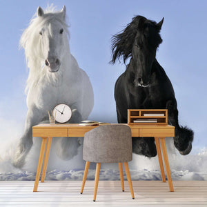 Samolepilne stenske Fototapeta White and black horse SW043-Life-decor.si