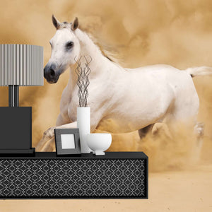 Samolepilne stenske Fototapeta White arabian horse SW044-Life-decor.si