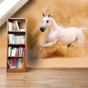 Samolepilne stenske Fototapeta White arabian horse SW044-Life-decor.si