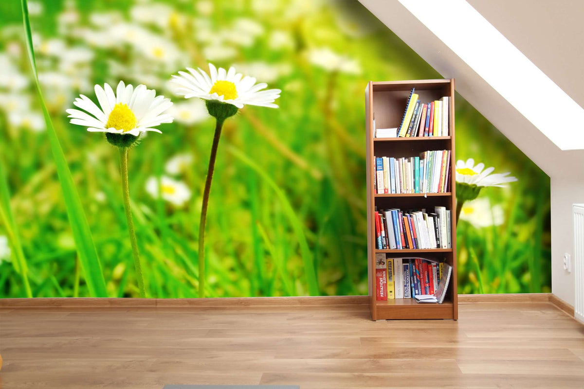 Samolepilne stenske Fototapeta White Flowers SW097-Life-decor.si