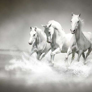 Samolepilne stenske Fototapeta White horses SW020-Life-decor.si