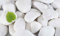 Samolepilne stenske Fototapeta White stones SW148-Life-decor.si