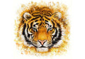 Samolepilne stenske Fototapeta Wild tiger SW182-Life-decor.si