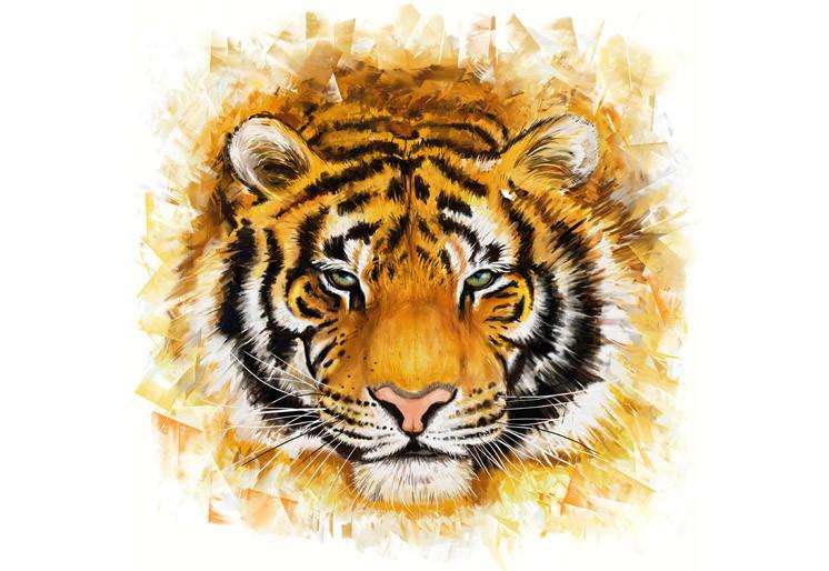 Samolepilne stenske Fototapeta Wild tiger SW182-Life-decor.si