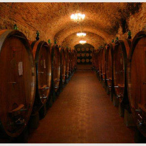 Samolepilne stenske Fototapeta Winery Cellar SW103-Life-decor.si