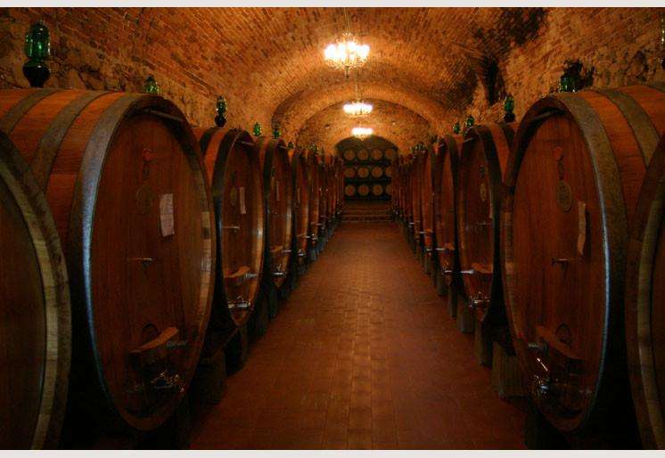 Samolepilne stenske Fototapeta Winery Cellar SW103-Life-decor.si