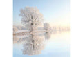 Samolepilne stenske Fototapeta Winter landscape SW180-Life-decor.si