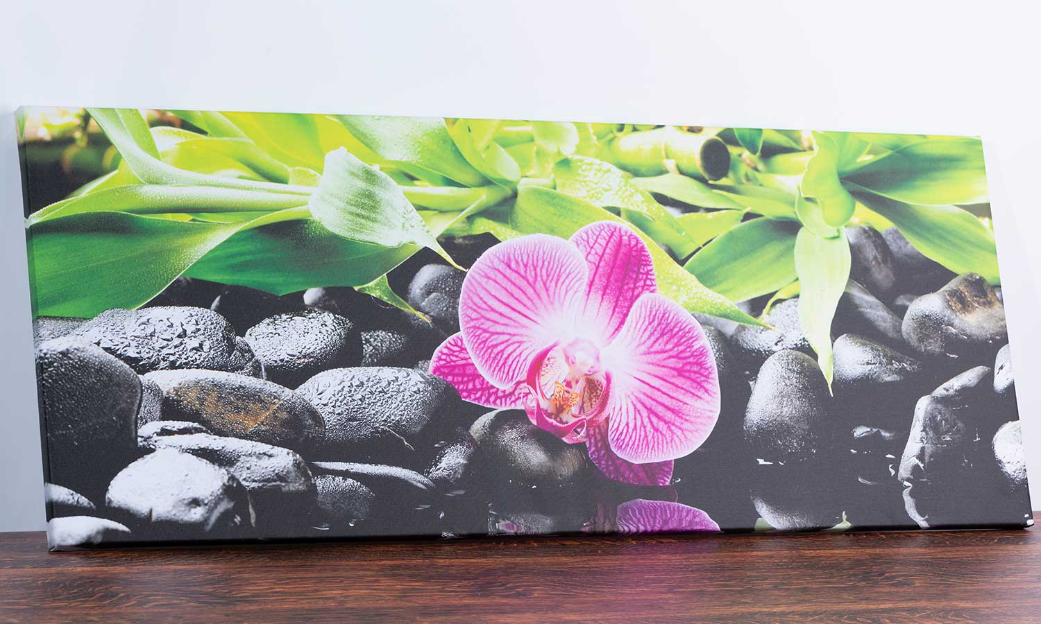 Slika za na steno Purple Orchid - AP186-Life-decor.si