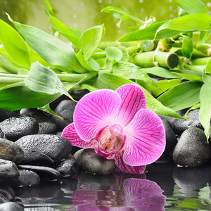 Slika za na steno Purple Orchid - AP186-Life-decor.si