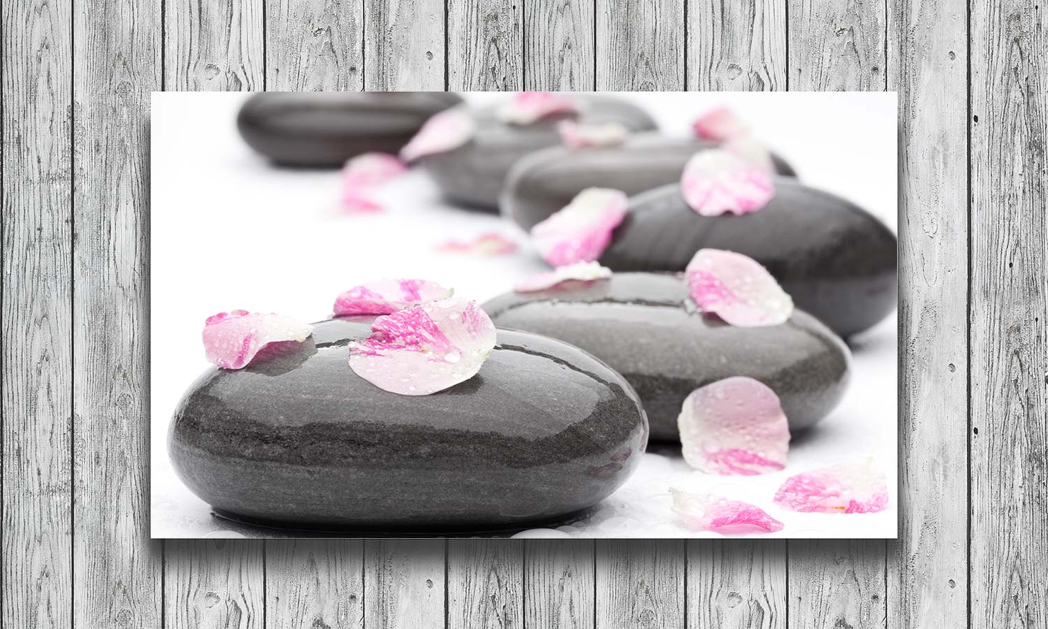 Slika za na steno Spa Stones With Rose Petals - AP189-Life-decor.si