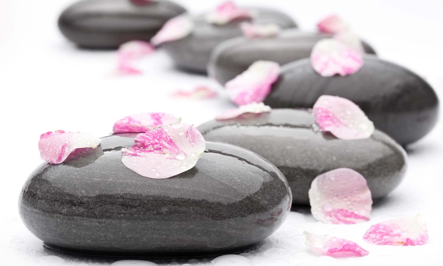 Slika za na steno Spa Stones With Rose Petals - AP189-Life-decor.si