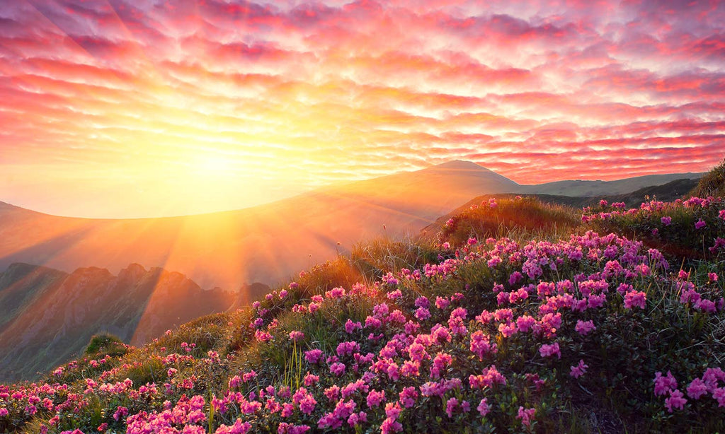 Slika za na steno Spring landscape - AP140-Life-decor.si
