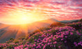 Slika za na steno Spring landscape - AP140-Life-decor.si