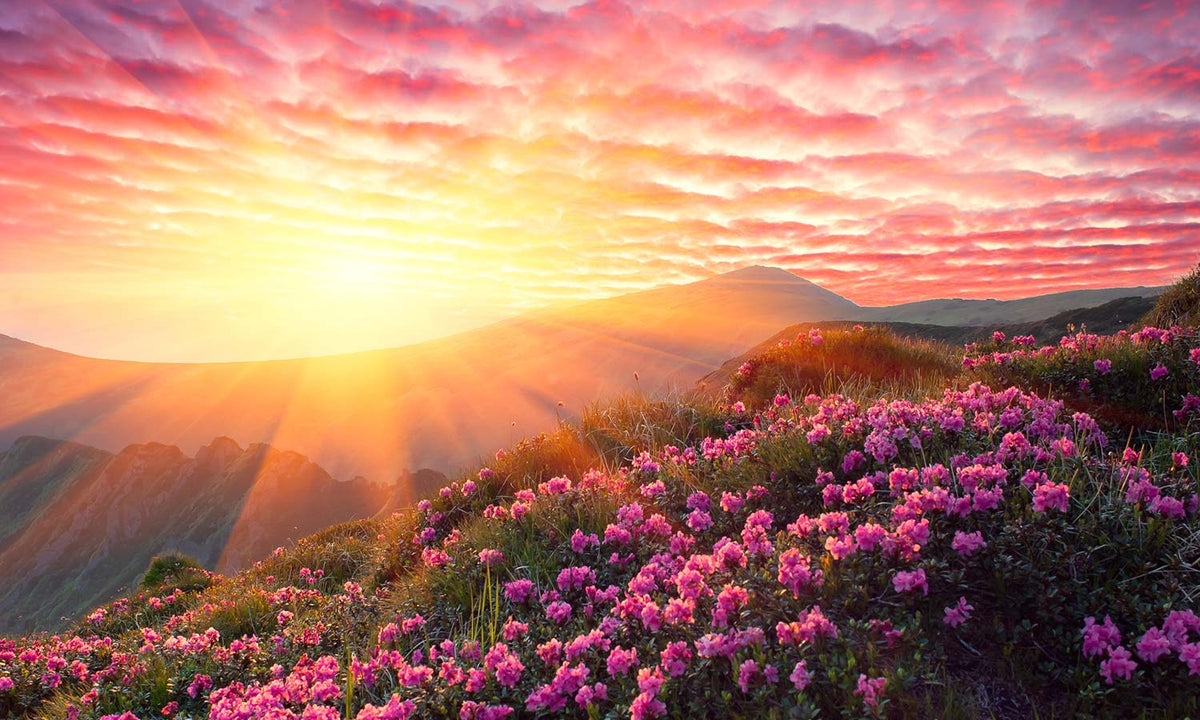 Slika za na steno Spring landscape - AP140-Life-decor.si